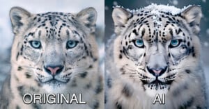 Real photos versus AI image
